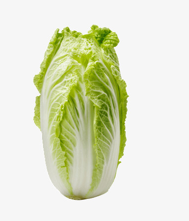 綠色餐桌的藝術(shù) 圖精靈免費蔬菜圖片精選與創(chuàng)意應(yīng)用